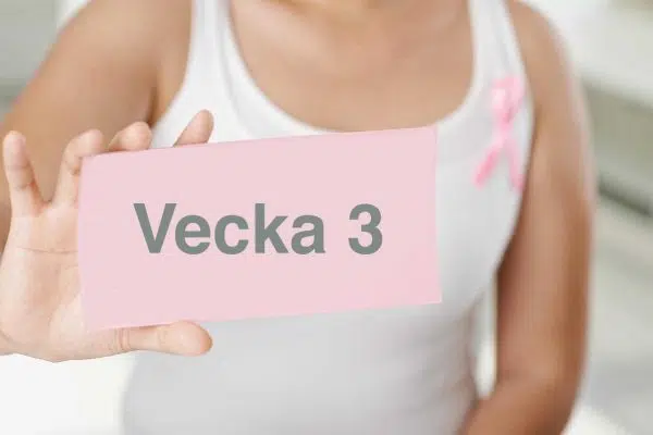 Où est le bébé à 3 semaines de grossesse ?
